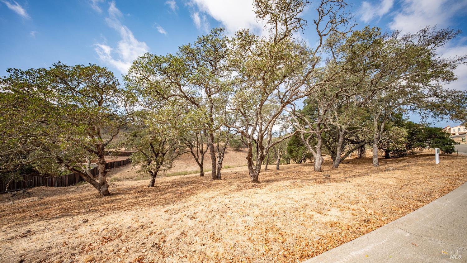 743 Bridle Ridge Court Fairfield, CA 94534 - Photo 9 of 82