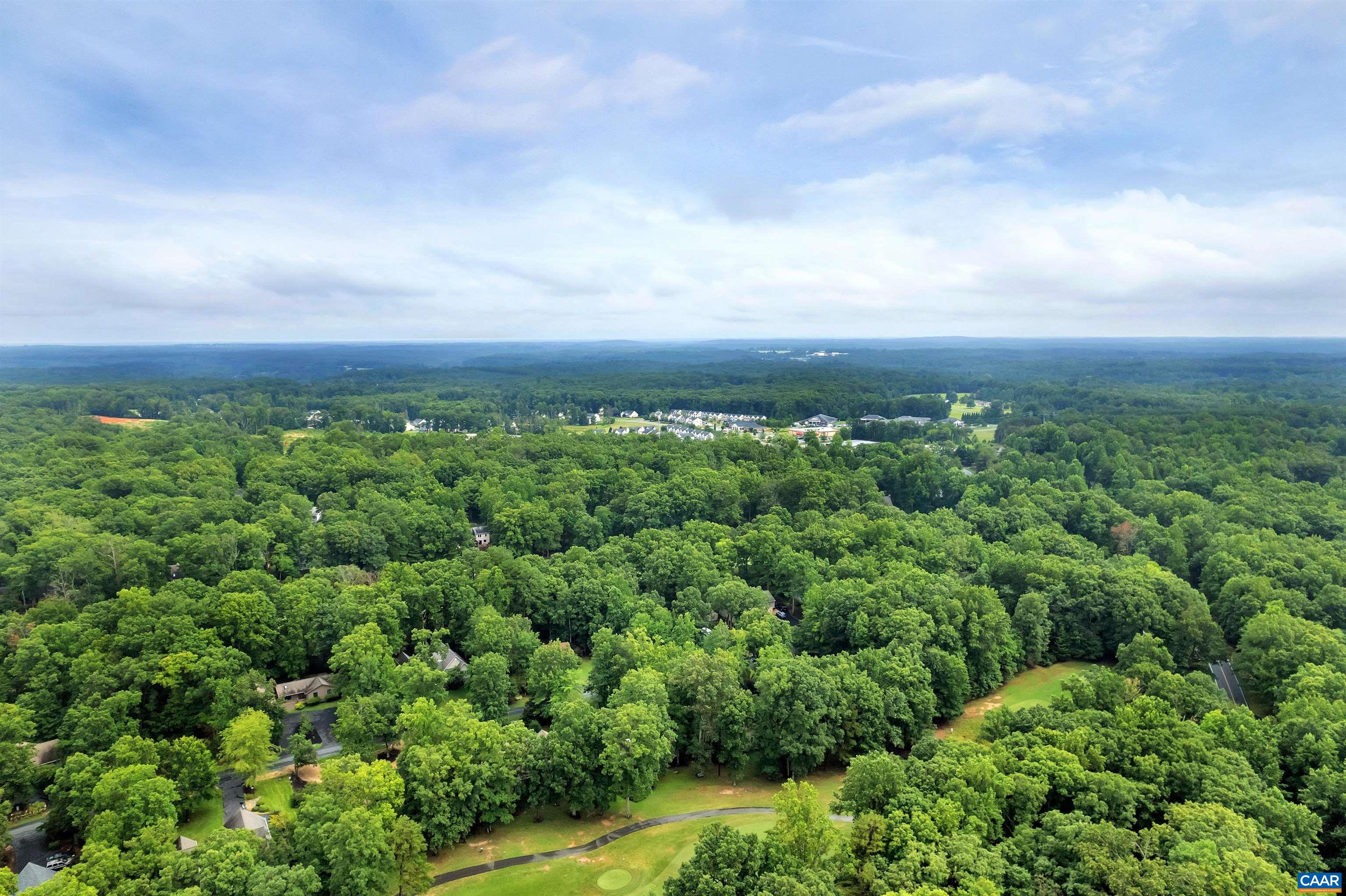8 Out Of Bounds Road Palmyra, VA 22963 - Photo 64 of 66 an aerial view of houses with yard