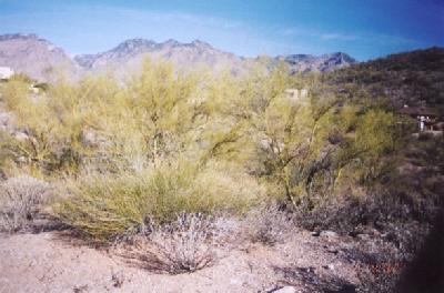 5254 North Gate Ridge Road Tucson, AZ 85750 - Photo 3 of 3 Gallery Image 3