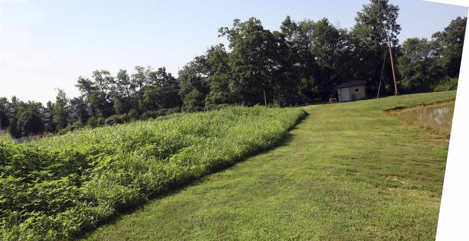 0 Woody Ware Road Clay City, KY 40312 - Photo 27 of 35 Photo 27