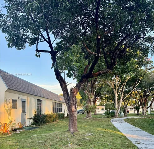 a tree in front of a white house