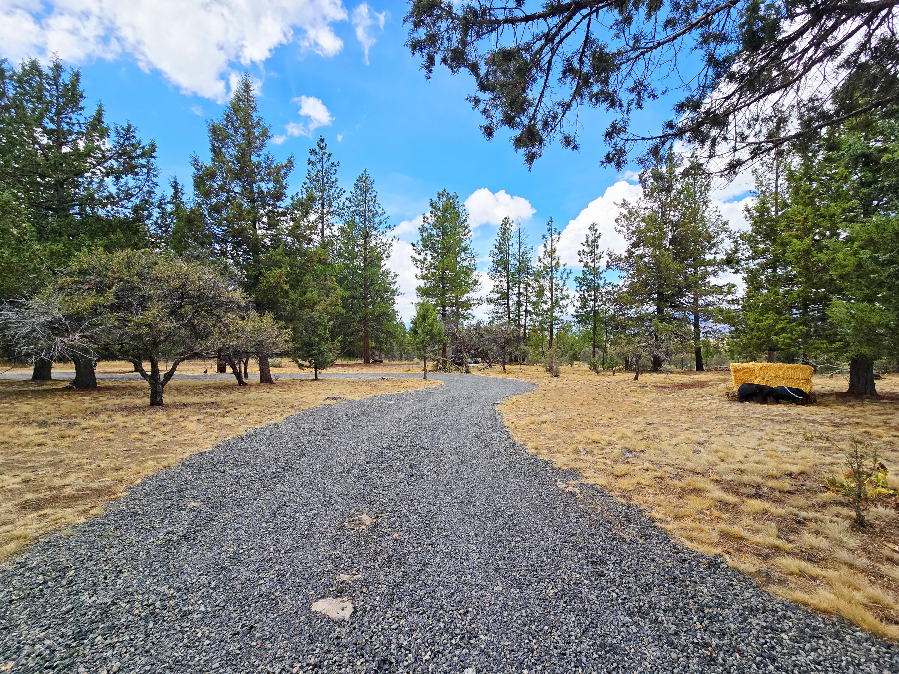 48070 Partin Drive Beatty, OR 97621 - Photo 14 of 29 The driveway