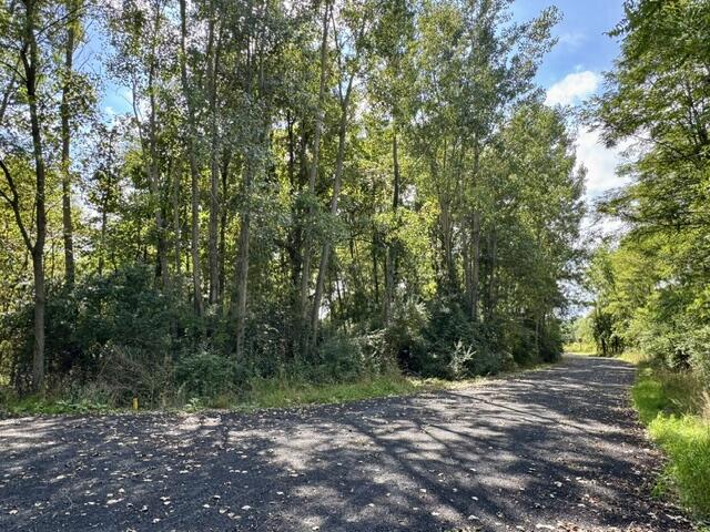 Heather Ridge Road Marshall, MI 49068 - Photo 2 of 2 IMG_1156
