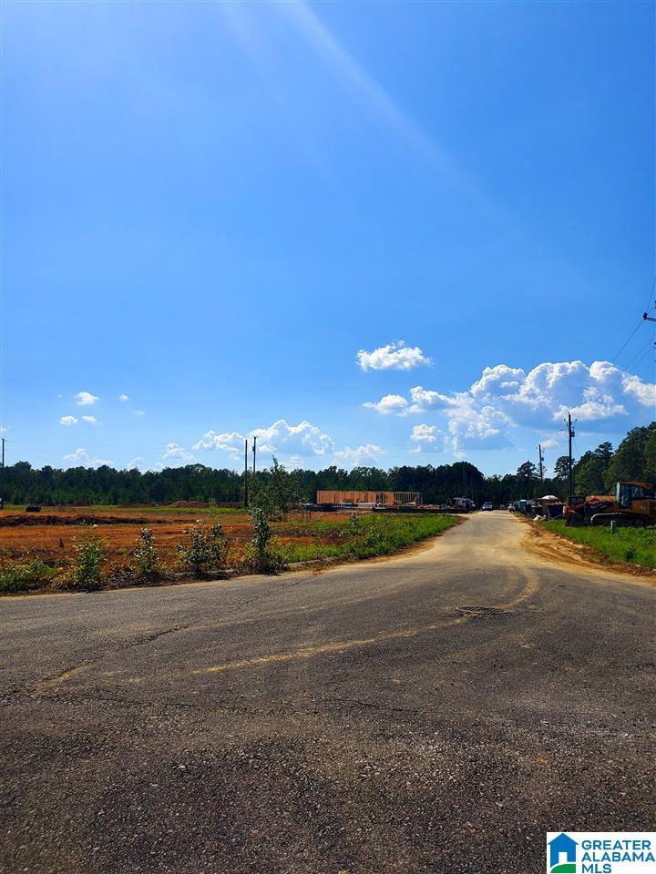 46 Hawk Lane Sylacauga, AL 35150 - Photo 8 of 10