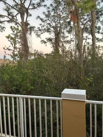 a view of a trees from a yard