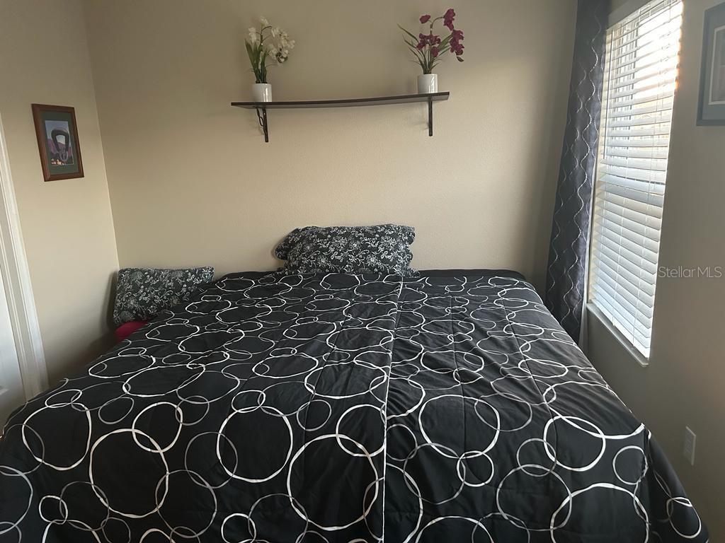 8807 White Sage Loop Lakewood Ranch, FL 34202 - Photo 10 of 19 a close up of a plant