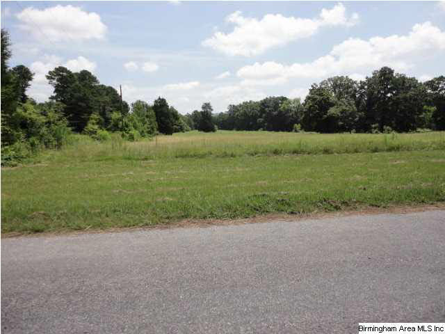 Greensport Road, Unit 7 Ashville, AL 35953 - Photo 2 of 8