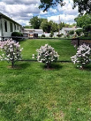 $799,900 | 348 Lynn Fells Parkway, Saugus, MA 01906