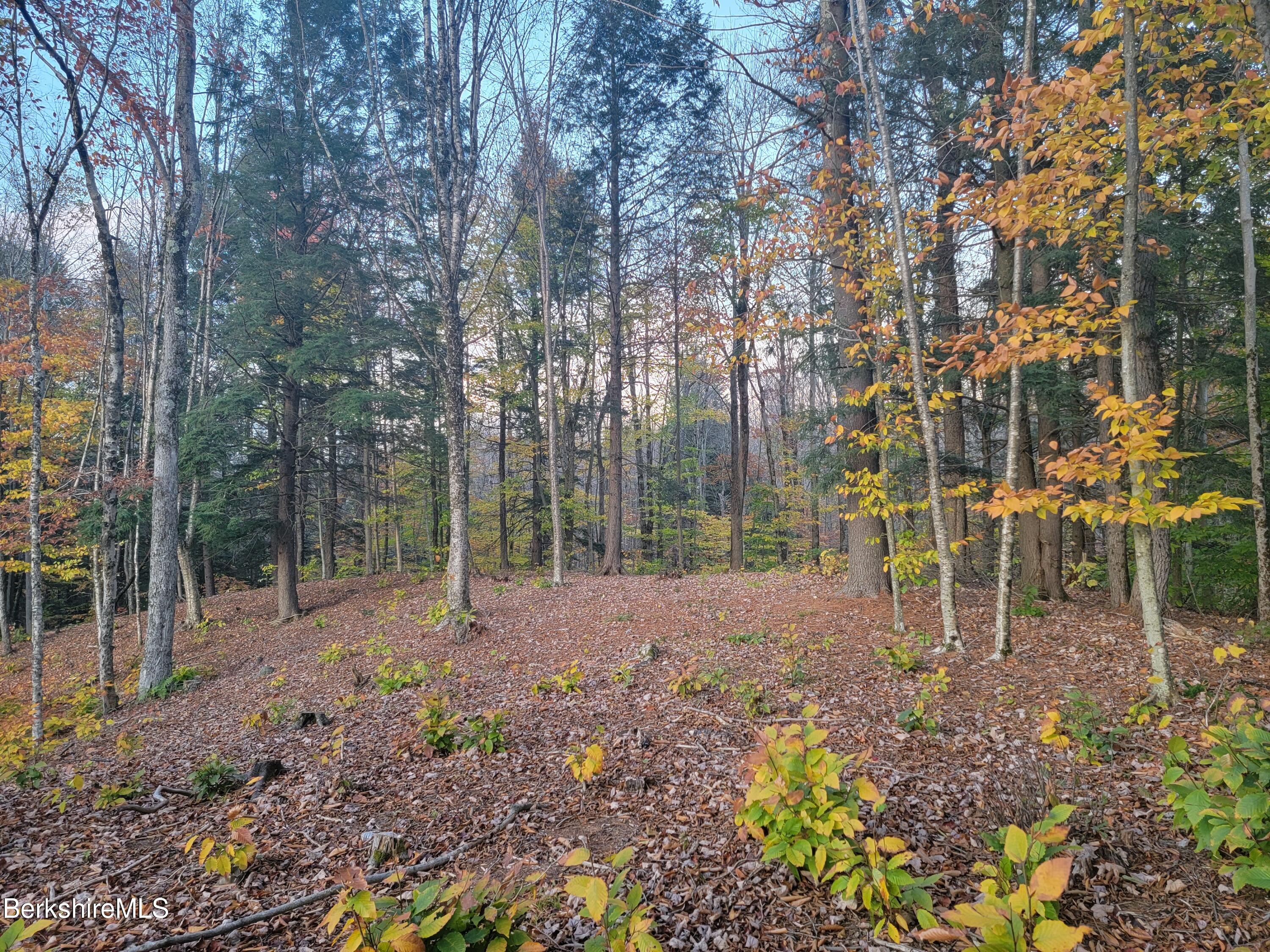 0 Haskell Road Hinsdale, MA 01235 - Photo 1 of 10 a view of outdoor space with trees