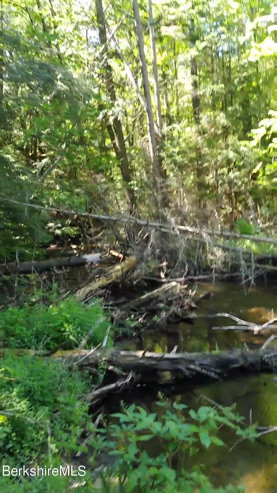 0 Haskell Road Hinsdale, MA 01235 - Photo 8 of 10