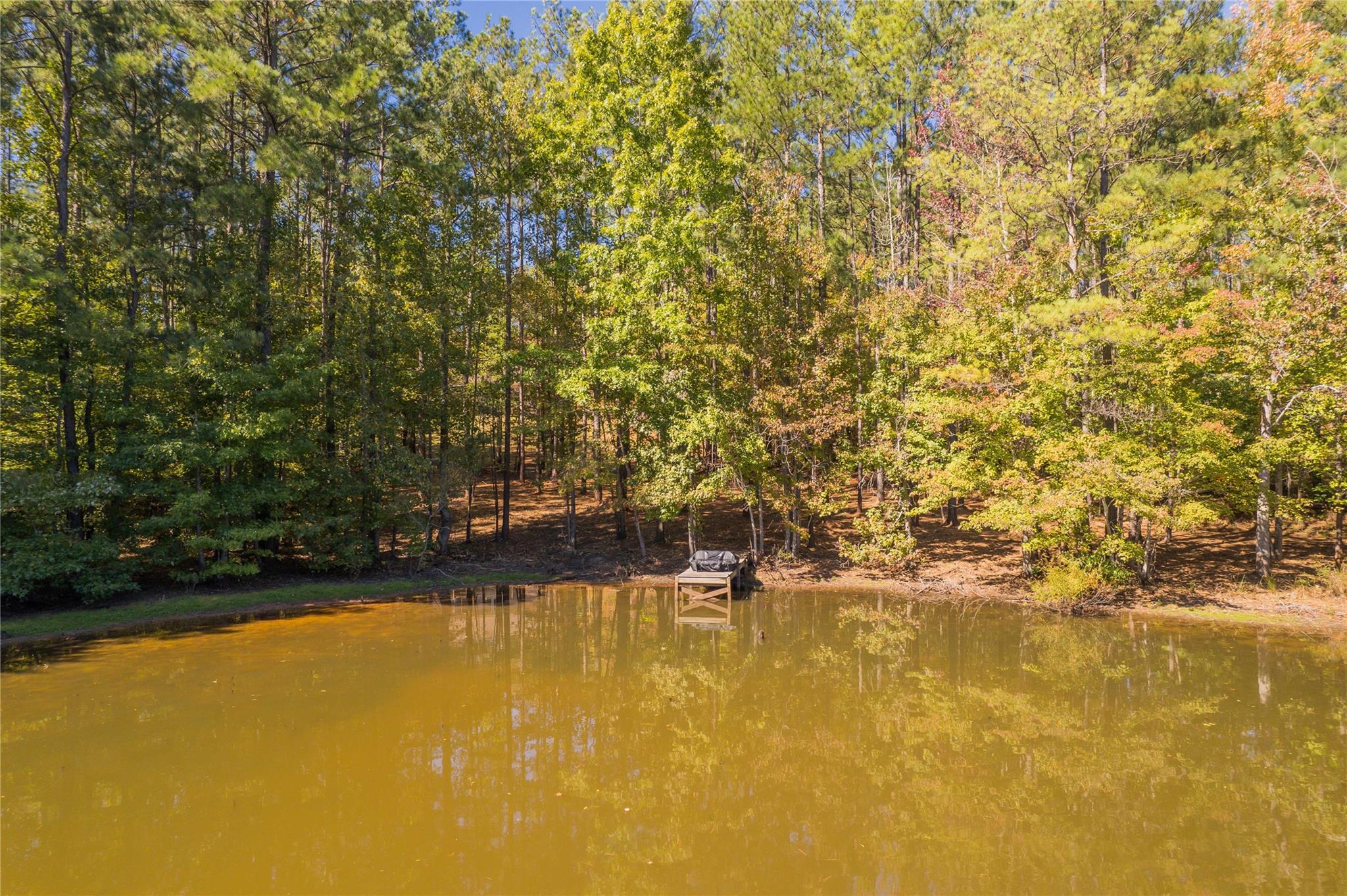 1652 Goings Road Chester, SC 29706 - Photo 3 of 35 a view of lake view