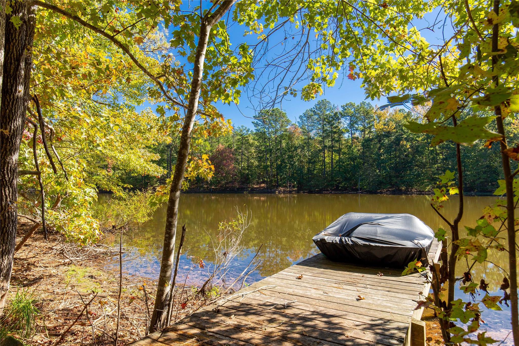 1652 Goings Road Chester, SC 29706 - Photo 4 of 35 a view of swimming pool from a lake