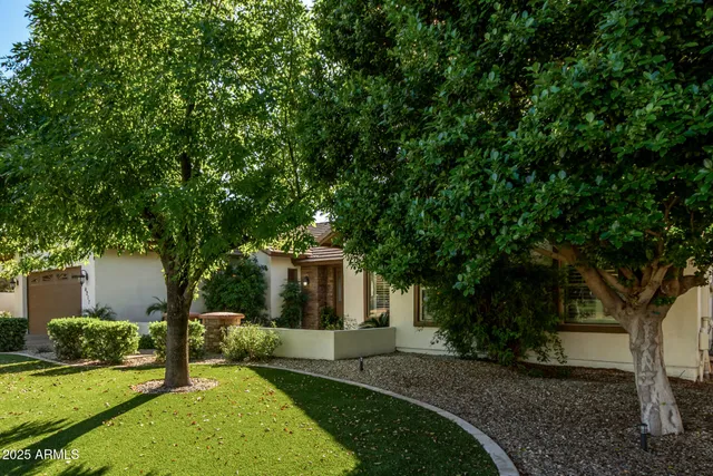 a view of a patio with table and chairs potted plants and a palm tree