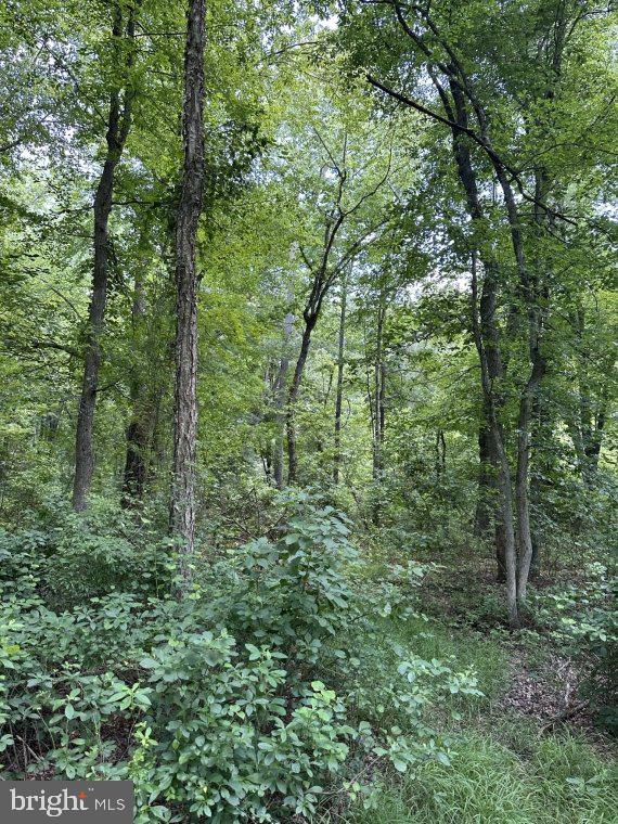 Peters Corner Road Sudlersville, MD 21668 - Photo 6 of 7