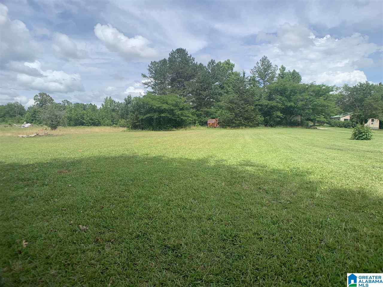 1144 Thompson Road Ohatchee, AL 36271 - Photo 36 of 46