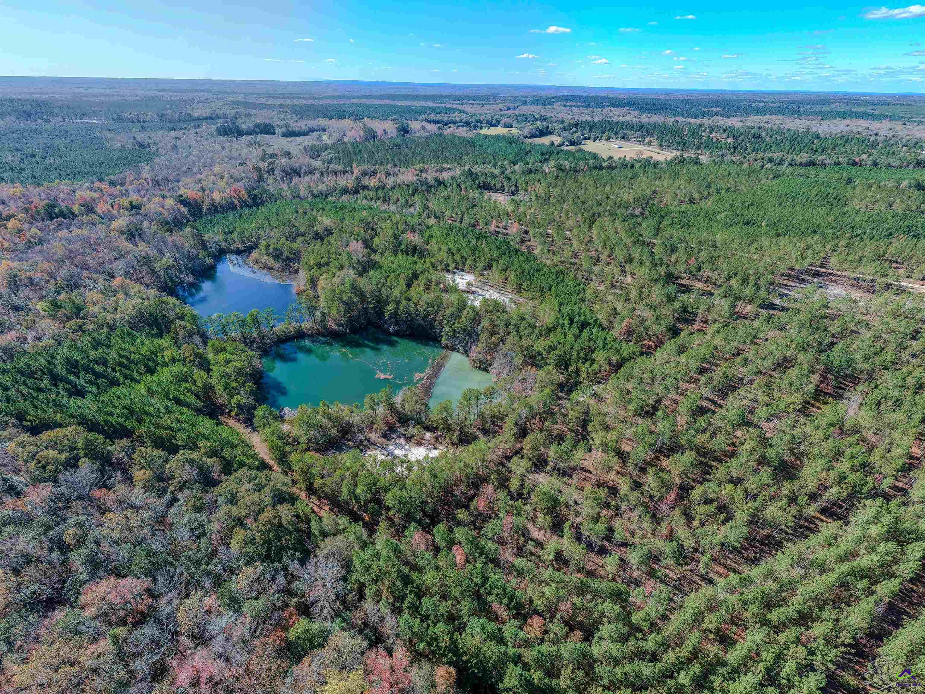 1446 Avera Road Roberta, GA 31078 - Photo 29 of 33