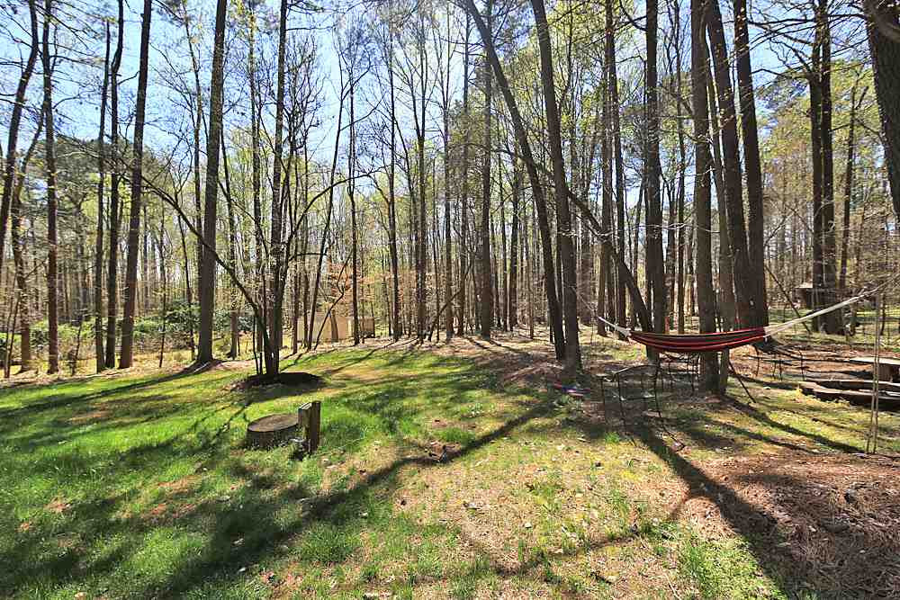 7210 Kemp Road Raleigh, NC 27613 - Photo 17 of 20 Backyard