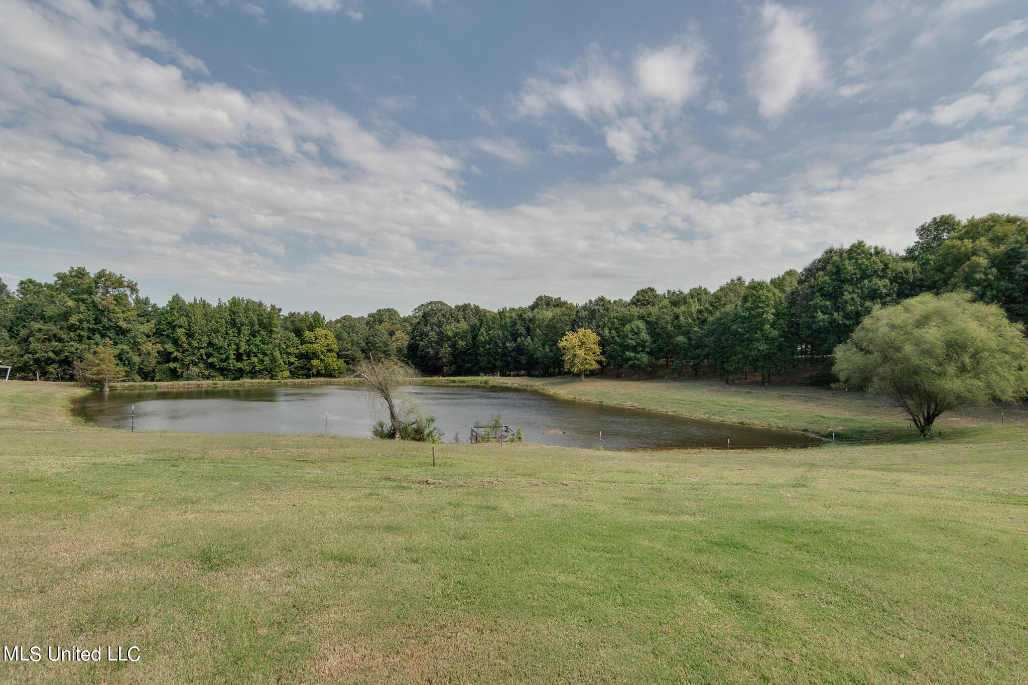 1788 Nesbit Road Nesbit, MS 38651 - Photo 57 of 66 1788 Nesbit Road-85