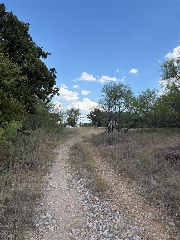 271 Wyatt Road Jacksboro, TX 76458 - Photo 3 of 40 Gallery Image 3