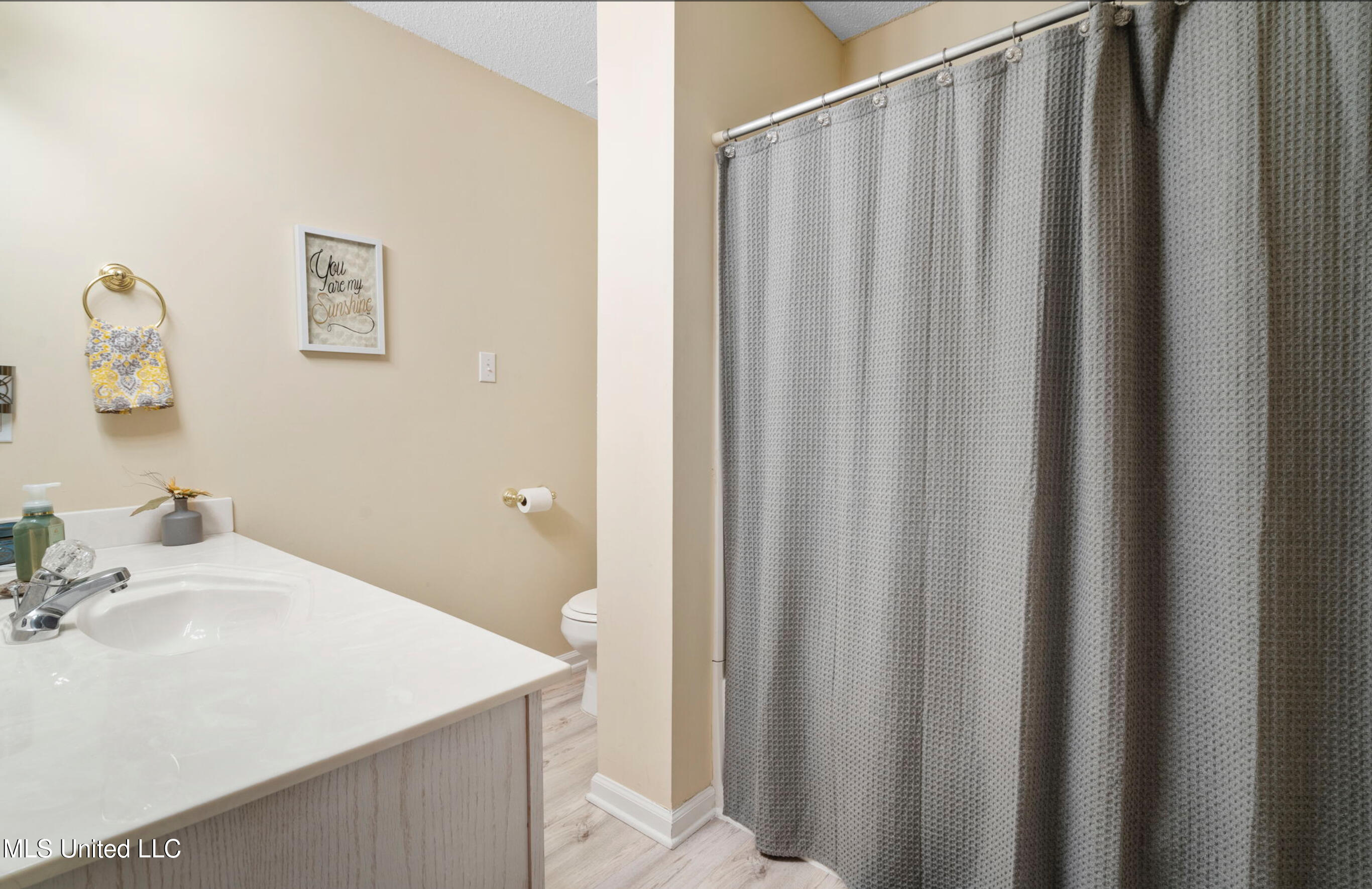 457 Fairway Oaks Drive Hernando, MS 38632 - Photo 19 of 27 IMG_0700