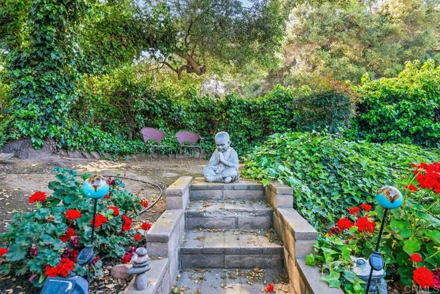 a view of a garden with flowers