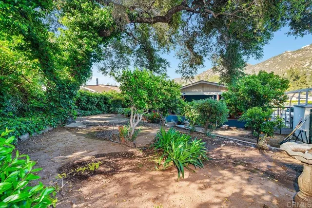 a view of backyard with outdoor seating and trees