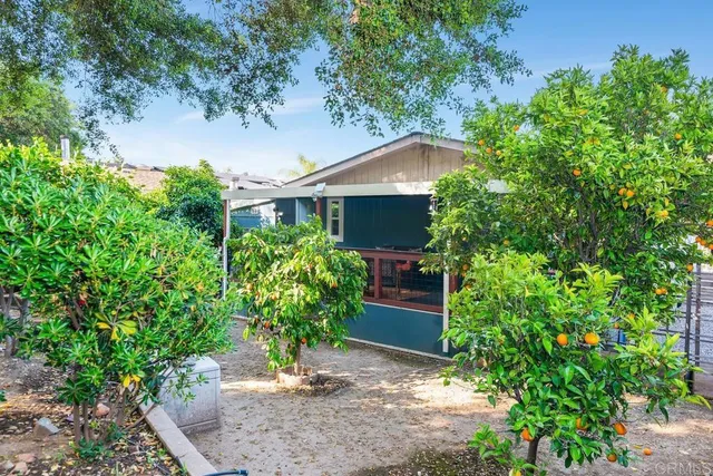a view of a garden with plants