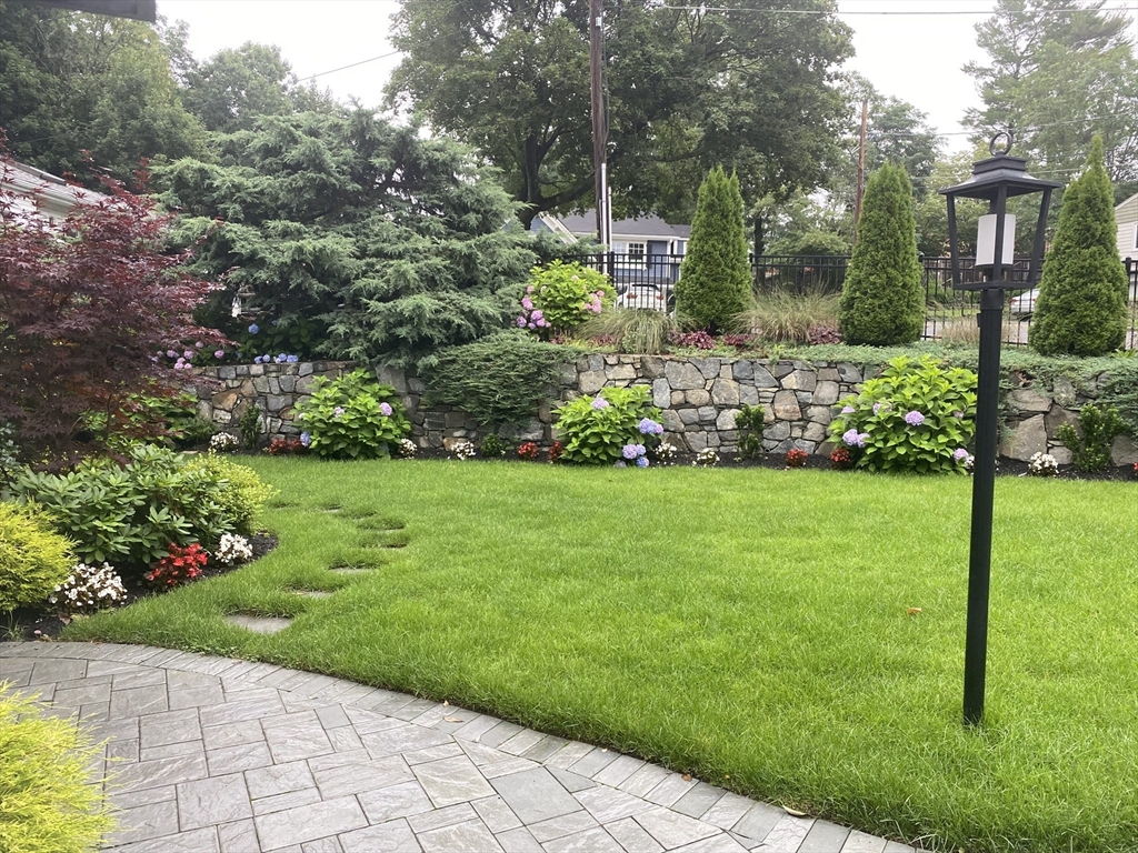96 Oldham Road Newton, MA 02465 - Photo 36 of 40 a view of a garden with plants