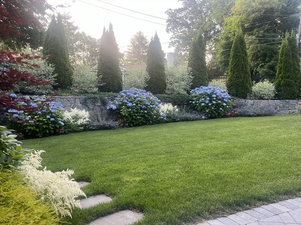 96 Oldham Road Newton, MA 02465 - Photo 37 of 40 a view of a garden with flowers and trees