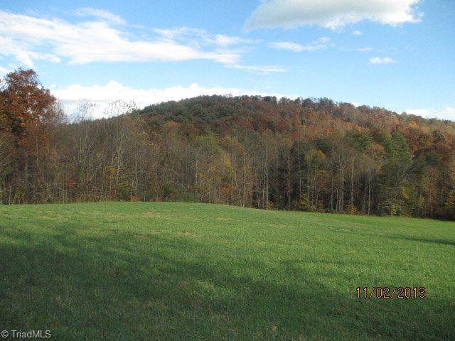 975 Lewis Fork Baptist Church Road Ferguson, NC 28624 - Photo 27 of 31 Gallery Image 27