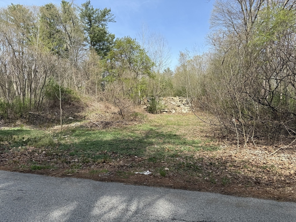 Lot 1 Mason Road Extension Dudley, MA 01571 - Photo 1 of 6 a view of a yard with large trees