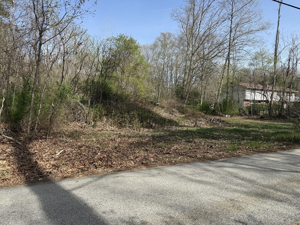 Lot 1 Mason Road Extension Dudley, MA 01571 - Photo 2 of 6 a view of a yard with a tree