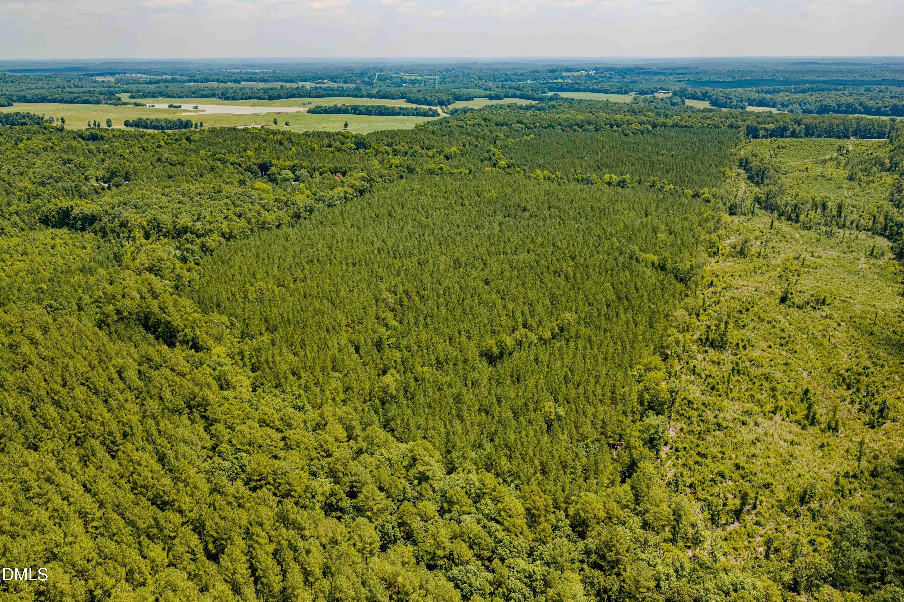 0 Haw Branch Road Sanford, NC 27330 - Photo 32 of 41 Chatham Lumber 77.2 Drone-7