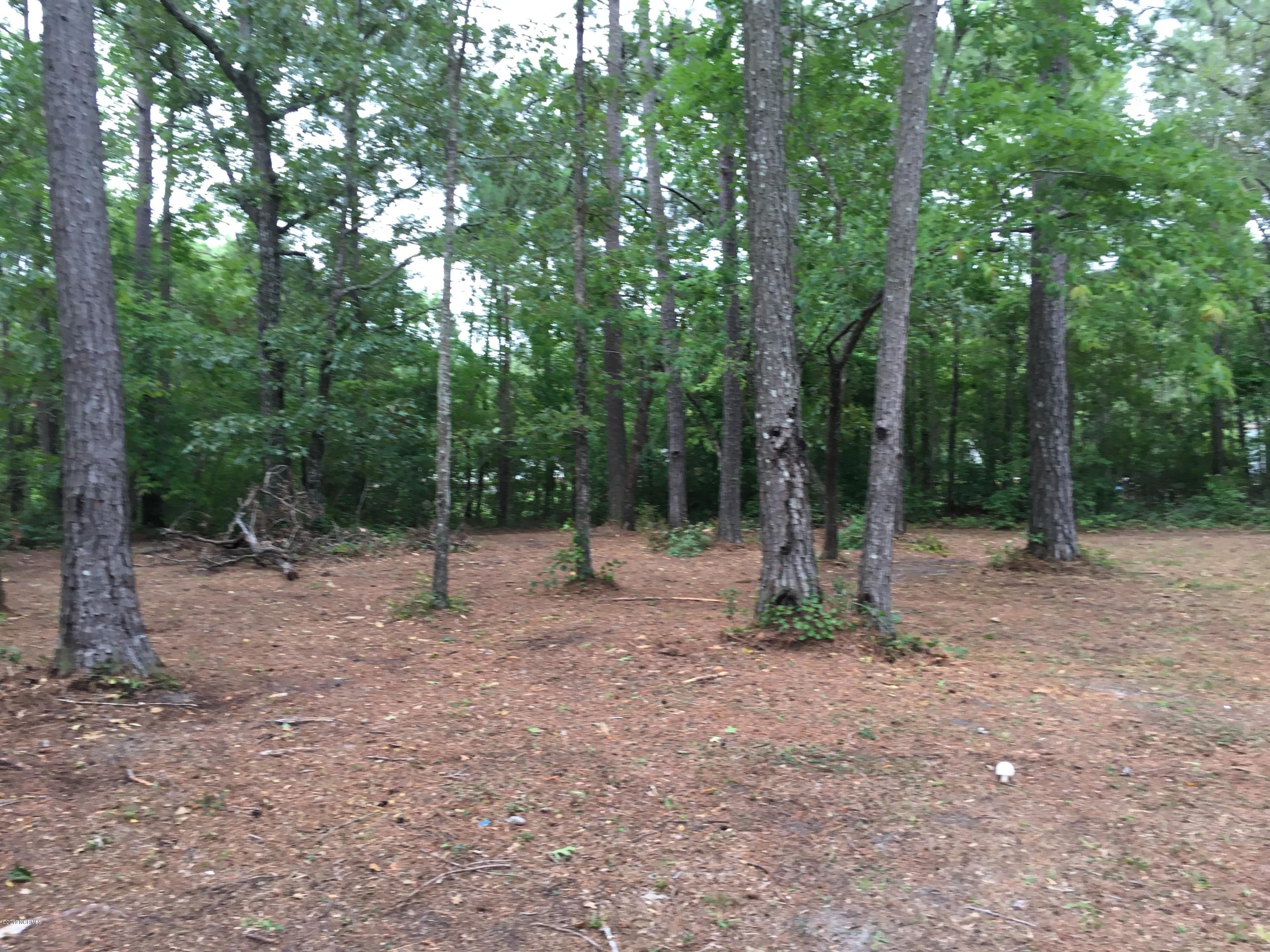 520 Fisher Town Road Havelock, NC 28532 - Photo 6 of 7 IMG_6294