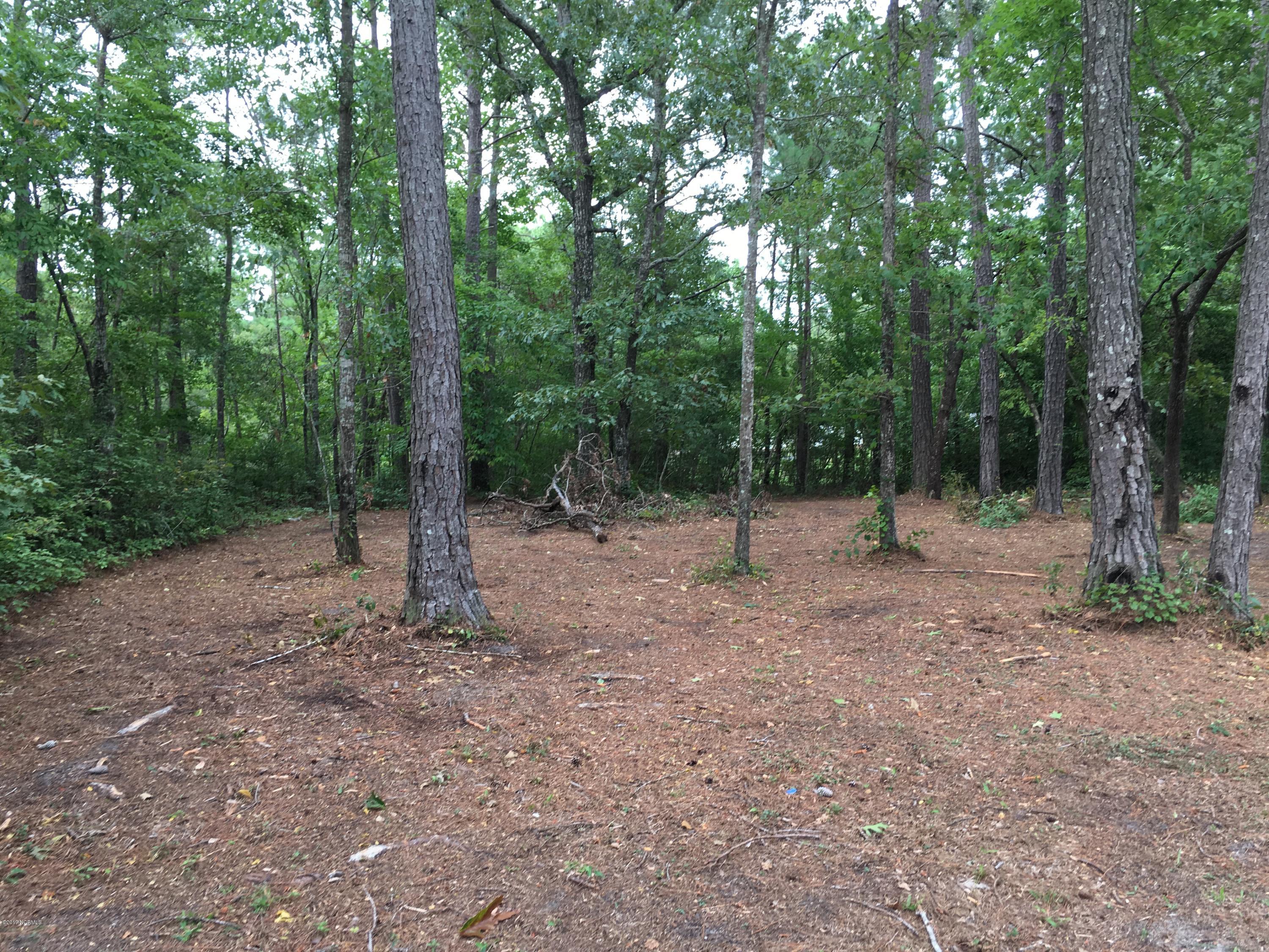 520 Fisher Town Road Havelock, NC 28532 - Photo 7 of 7 IMG_6295