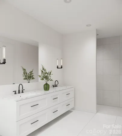 a bathroom with a potted plant on the counter and mirror