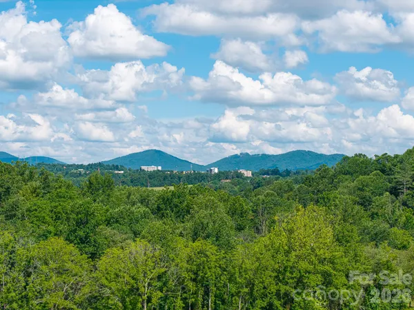 a view of a green field with lots of bushes