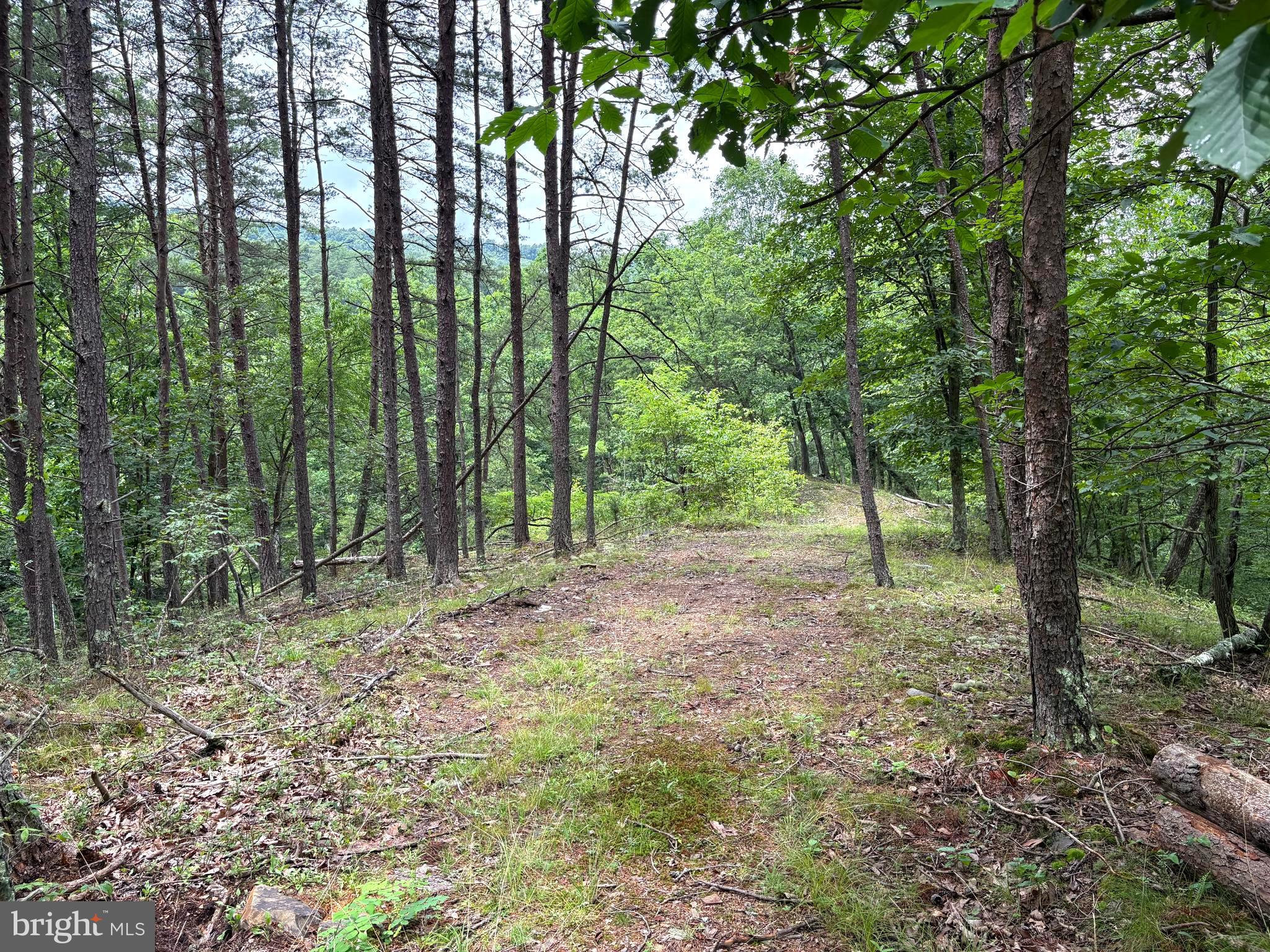 Lot 126 Bluffs Blue Beach Road Springfield, WV 26763 - Photo 1 of 20