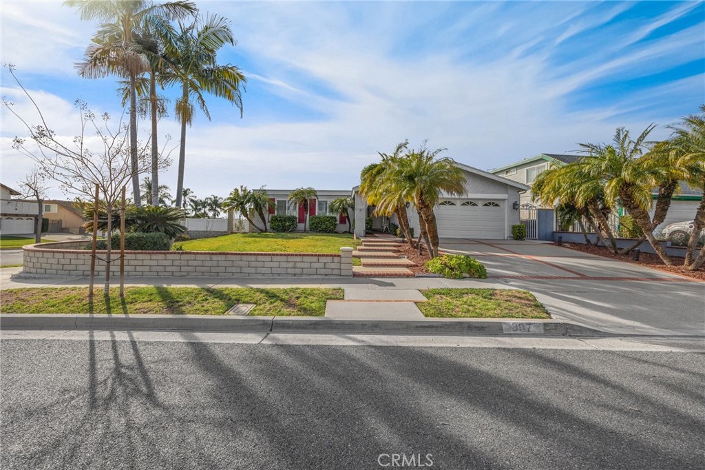 a view of a garden with palm trees