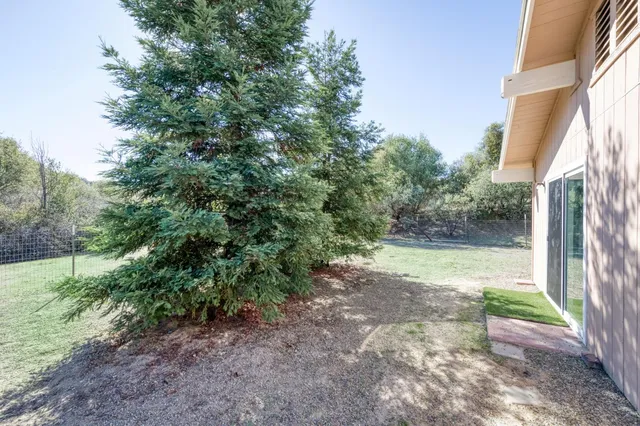 a view of a yard with a tree