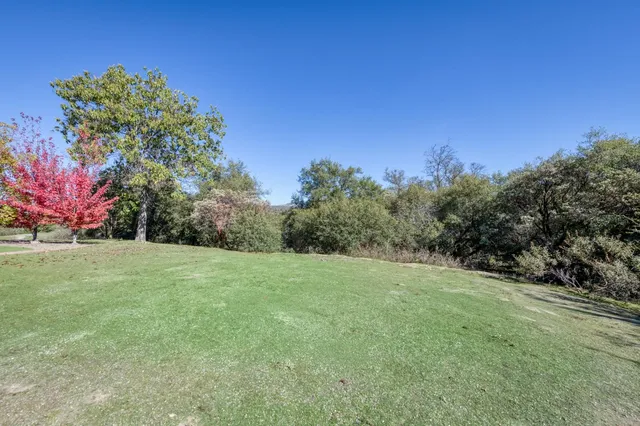 a view of a field with trees in the background