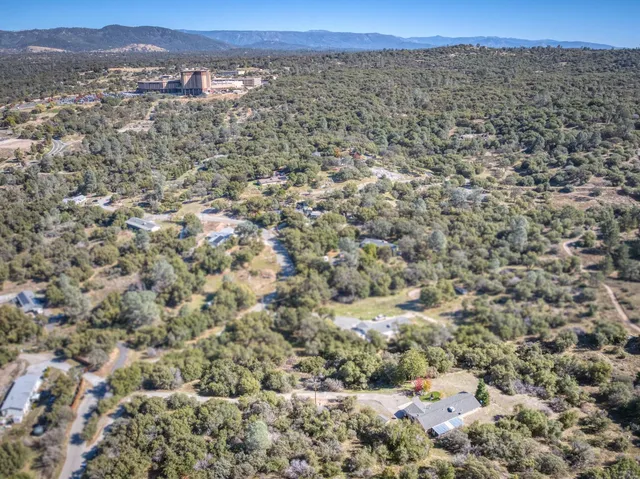a view of a dry yard with trees