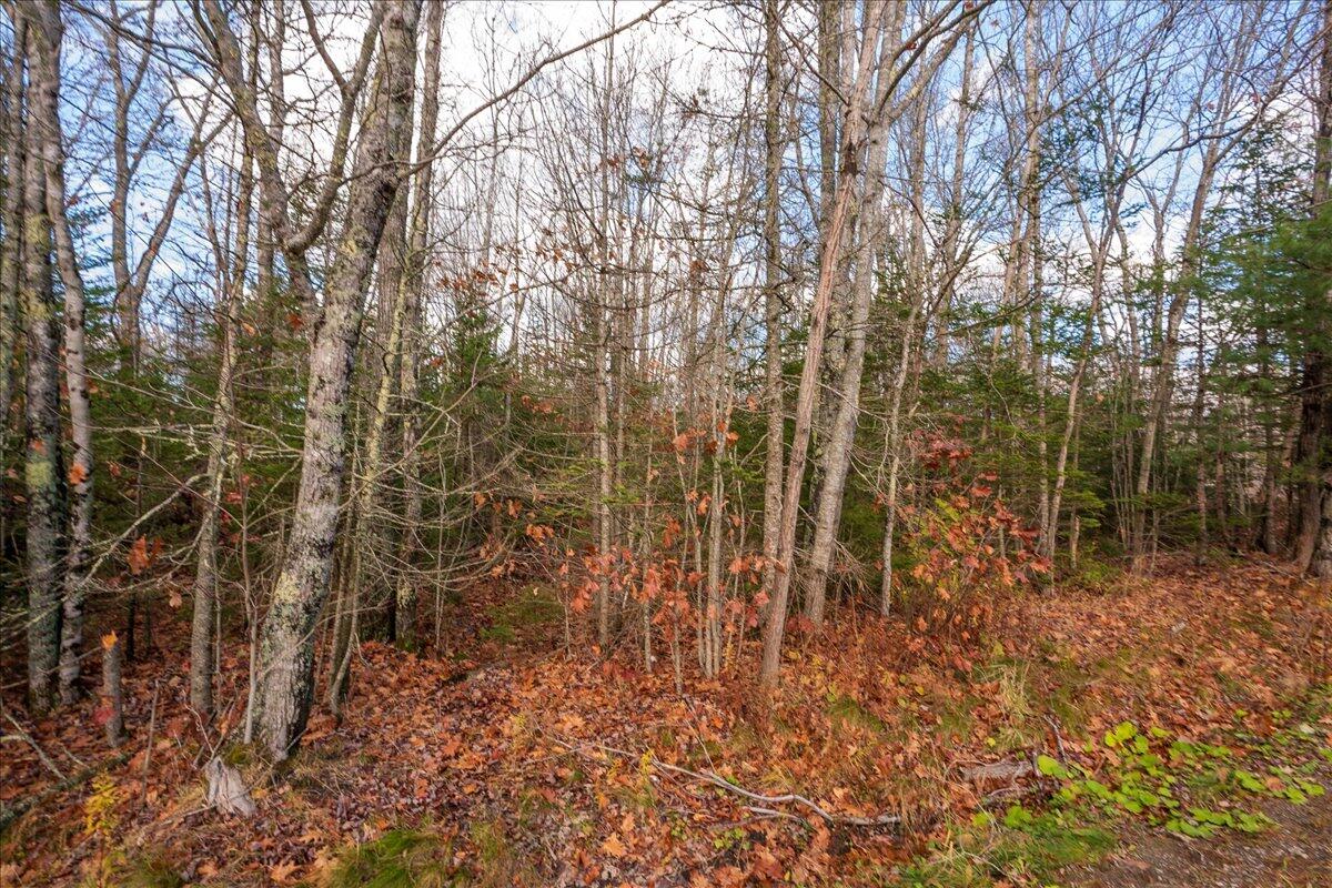Lot 24 Cushing Road Cushing, ME 04563 - Photo 33 of 36 32-M7 Lot 24-32