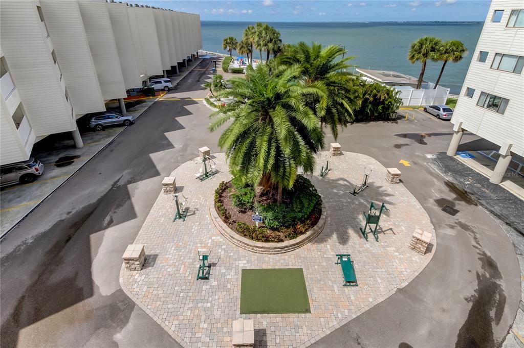 2506 North Rocky Point Drive, Unit 457 Tampa, FL 33607 - Photo 22 of 24 an ocean view with a vase of flowers