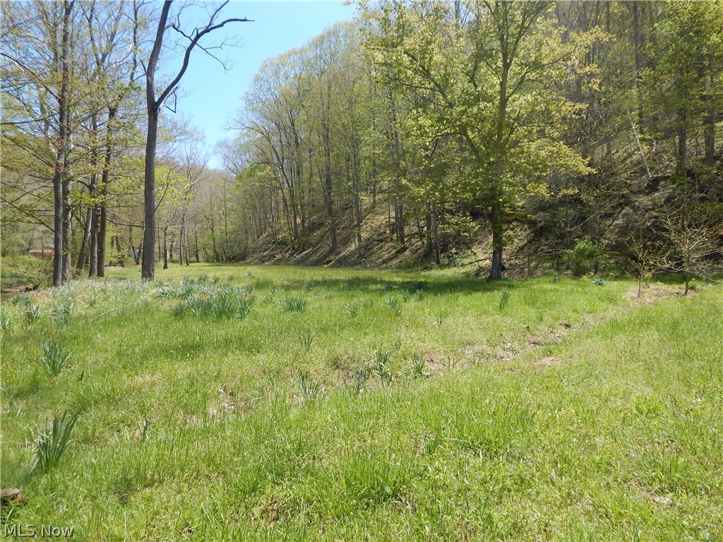2746 Bean Ridge Smithville, WV 26178 - Photo 22 of 35