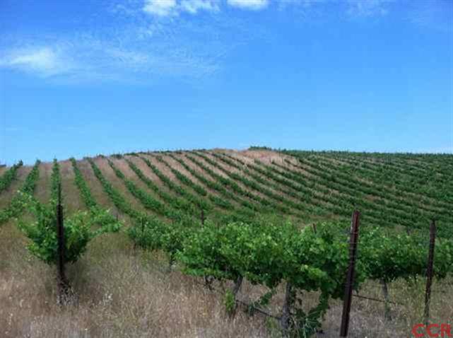 2011 Alamo Pintado Road Solvang, CA 93463 - Photo 4 of 5 Additional Photo