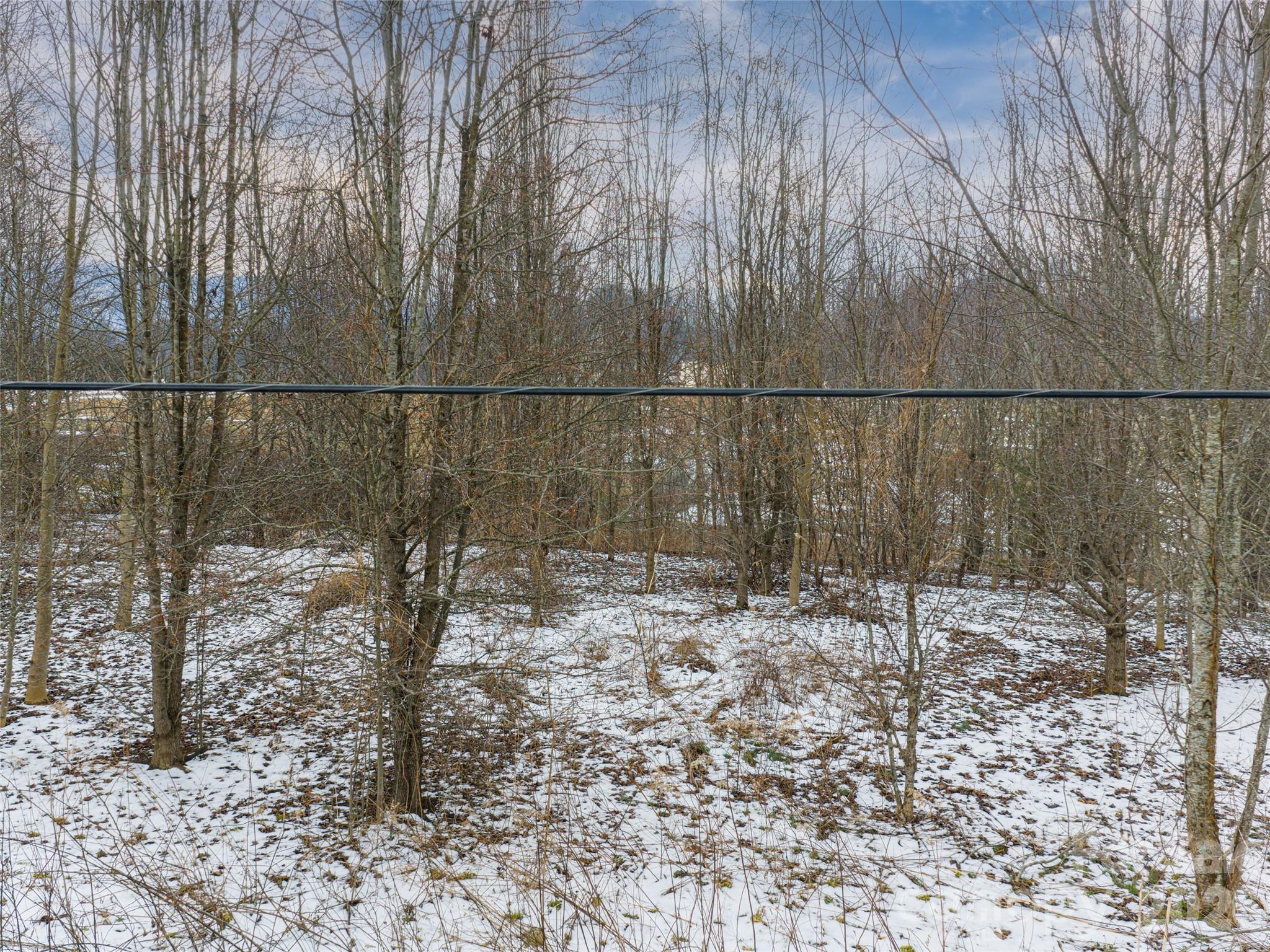 363 Bethany Church Road Fairview, NC 28730 - Photo 13 of 19