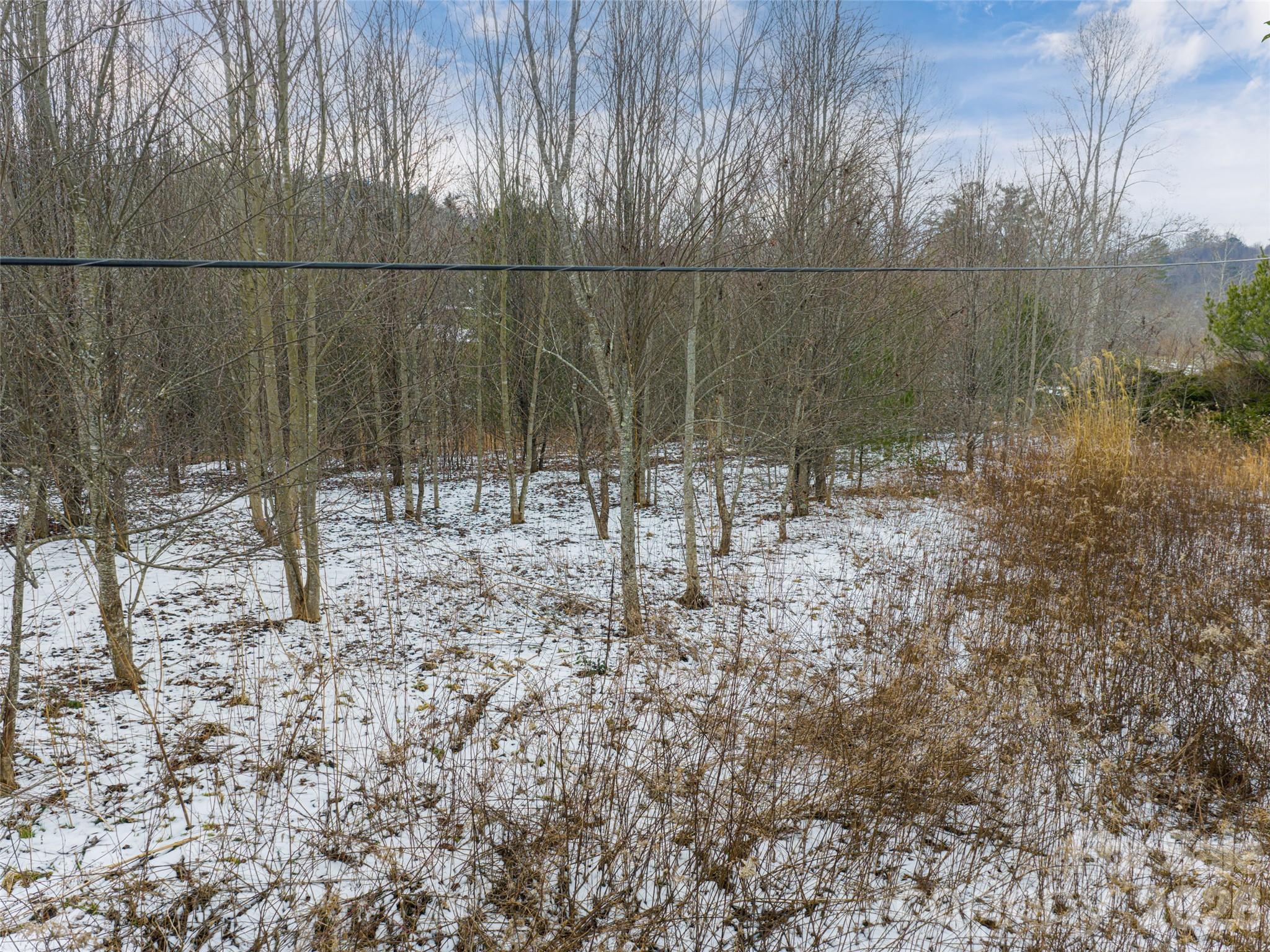 363 Bethany Church Road Fairview, NC 28730 - Photo 14 of 19