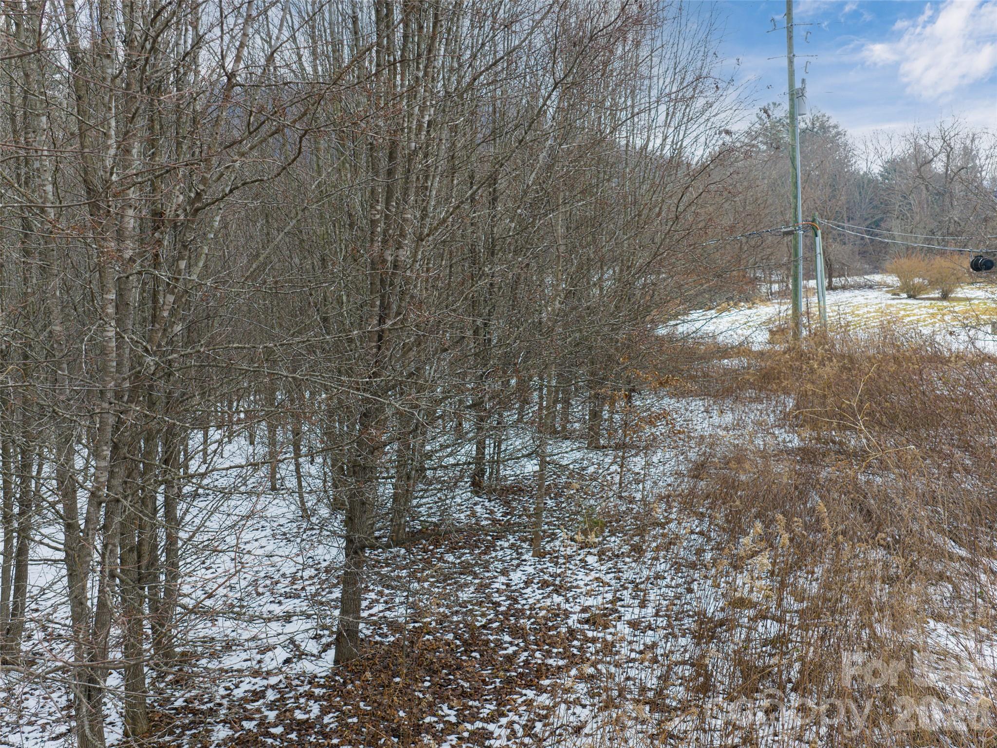 363 Bethany Church Road Fairview, NC 28730 - Photo 18 of 19