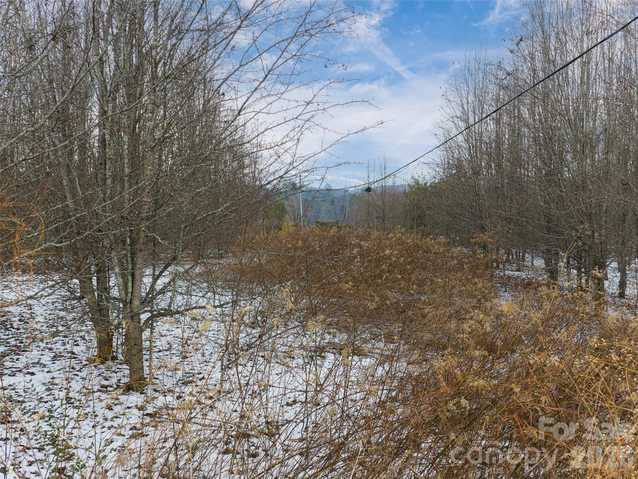 363 Bethany Church Road Fairview, NC 28730 - Photo 19 of 19